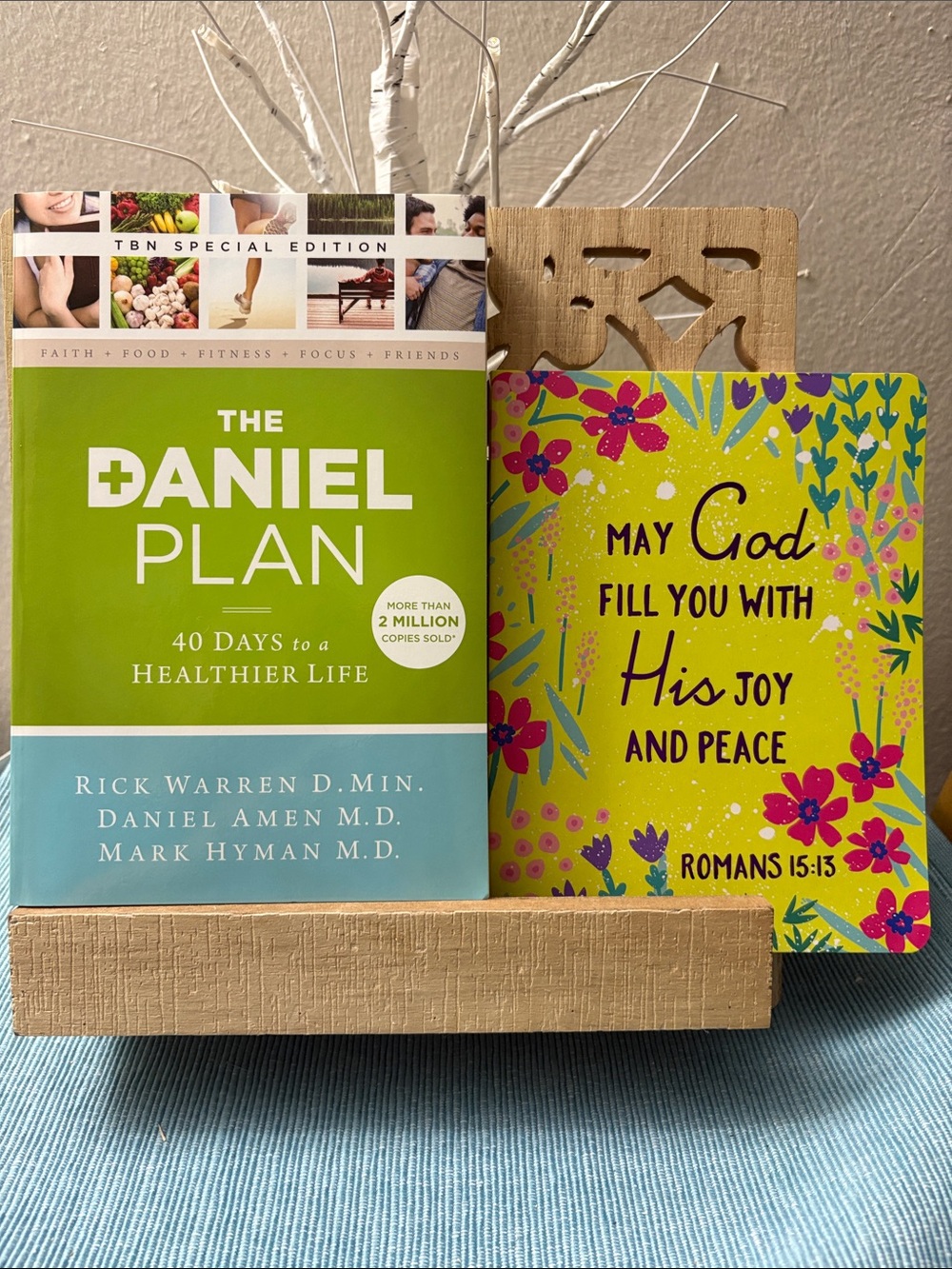 The Daniel Plan Book by Rick Warren and Journal